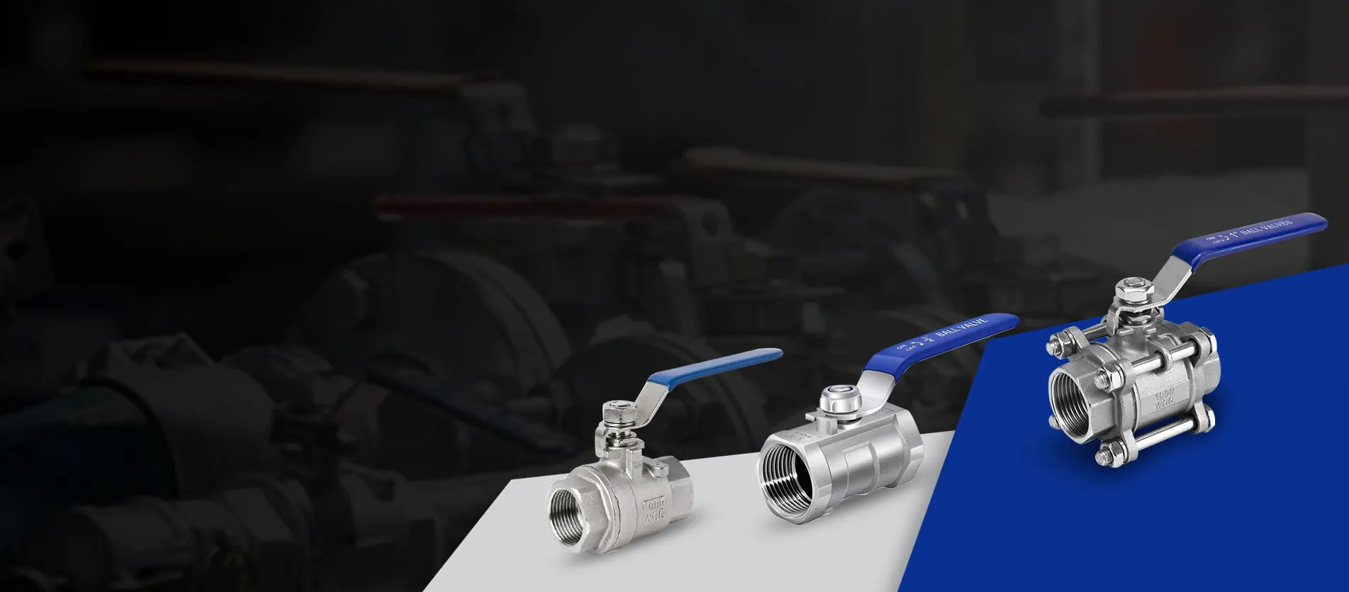 Monarcha Feistis Pluiméireachta tSín